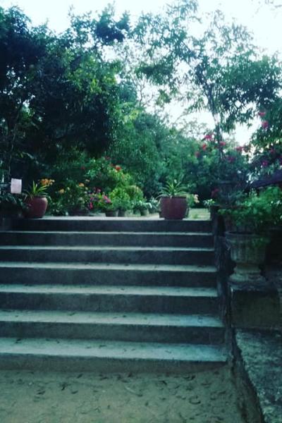 164493891 103844548476087 1566119493274574497 N