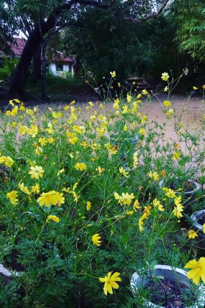 164557864 103845171809358 8923158004263839293 N