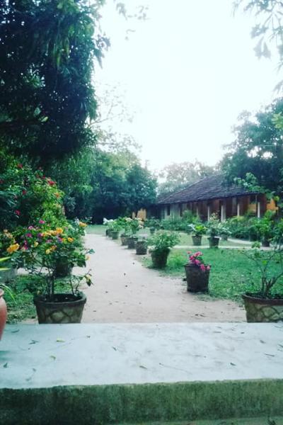 164613002 103844578476084 5205280974620741142 N