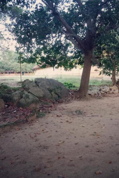 164674542 103845511809324 4673507555531353895 N