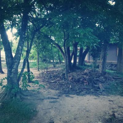 164987338 103845305142678 260819717051232630 N