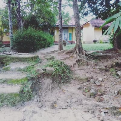 165286221 103845155142693 986765211161507537 N