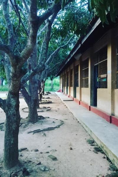 165336883 103844981809377 7097426042231605564 N