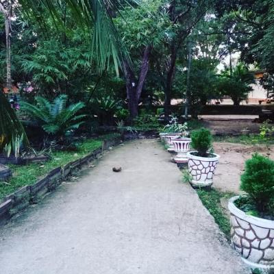 165423698 103844645142744 7099988055123452815 N