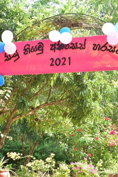 165473955 105672101626665 528406828953291509 N