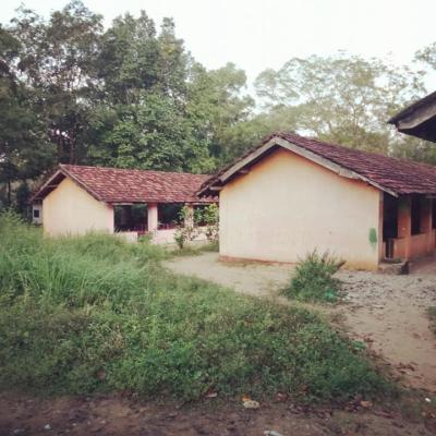 165912356 103844955142713 7404130946646819512 N