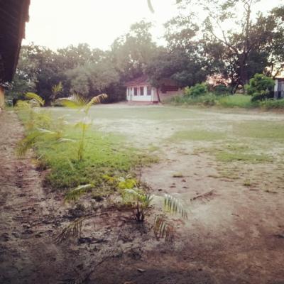 165932361 103844778476064 2952096249774440737 N