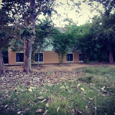 166749805 103844731809402 7542372342211082392 N