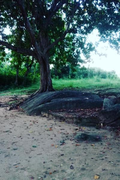 166829376 103845611809314 6037122914649274264 N