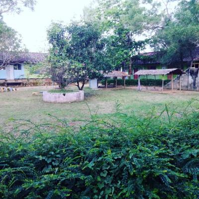 167502221 103845191809356 265889543478839470 N