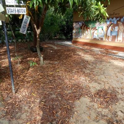 170161245 162662279260980 2566451442804362758 N