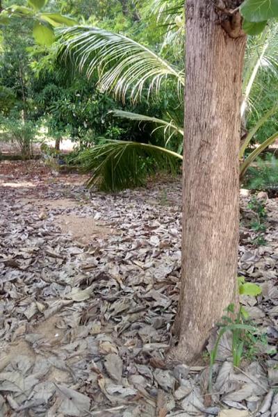 171169841 162662549260953 6908602699264470844 N