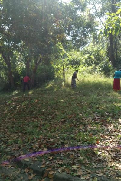 173221903 118456307014911 4143928881706467412 N