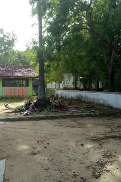 173760337 162662169260991 8569870242646330639 N