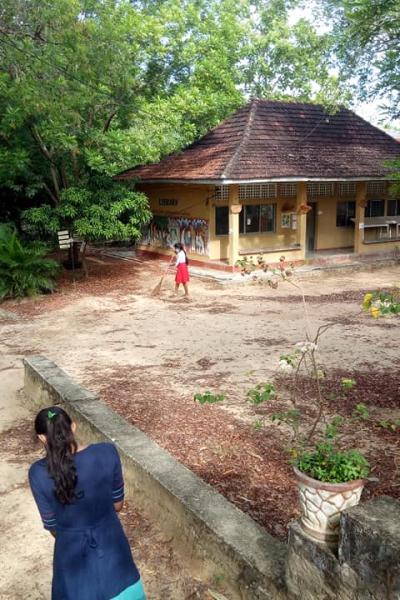 174096445 162660035927871 9068582143274268273 N