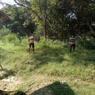 175126145 118456227014919 3980154685174725254 N