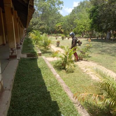 175662130 118456433681565 417690044542018559 N