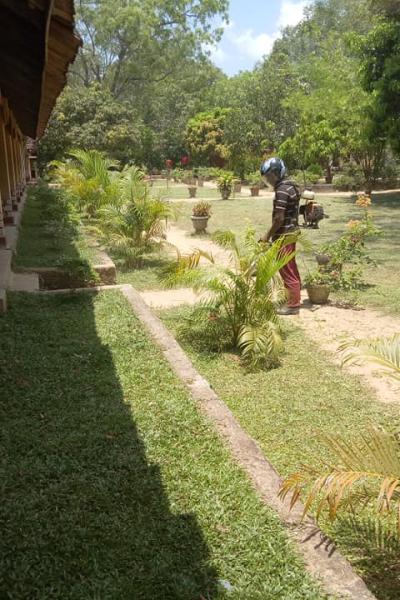 175682263 118456543681554 4689204025946146982 N