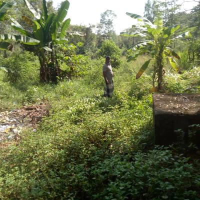 176087088 118456183681590 9194486689576352385 N