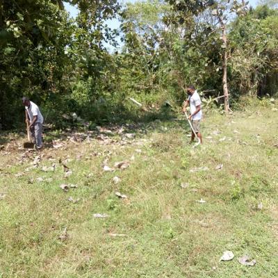 176184033 118456620348213 8335755057185173210 N