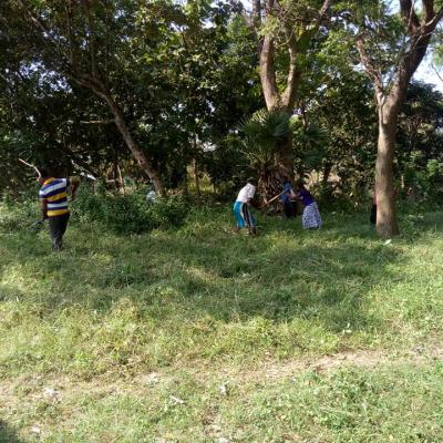 176210250 118456140348261 1931856788452607707 N