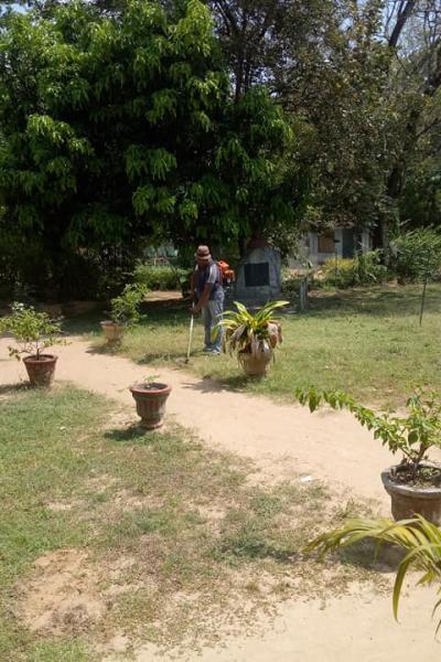 176495072 118456717014870 4345083543351086508 N