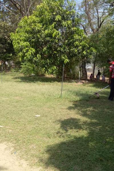 176782293 118456767014865 6204271908469286334 N