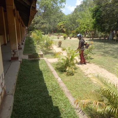 176859651 118456457014896 5617143063886443067 N