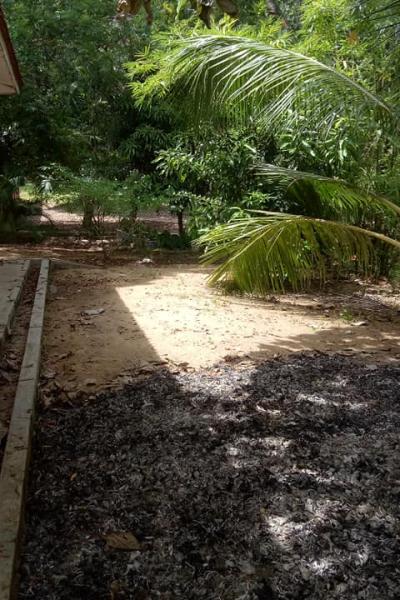 183146011 162663092594232 8902229183429186147 N