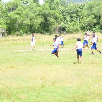 183710847 125729009620974 6634672903708769830 N