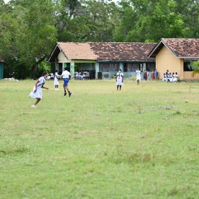 186238778 125729622954246 7021832720384228584 N