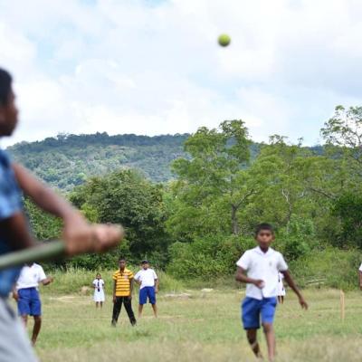 186520843 125729319620943 6960025899128407477 N