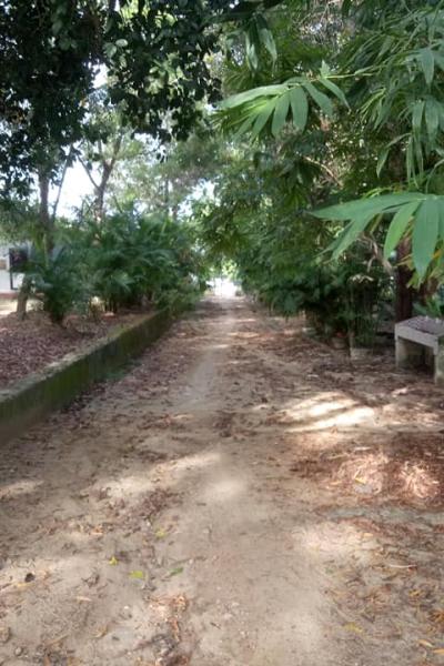 203304216 162661879261020 1905763273473846908 N