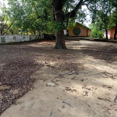 214697580 162661999261008 6525031137290912631 N