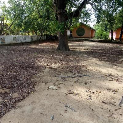 214859997 162662389260969 1597907829025854934 N