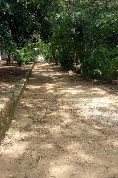 217040926 162662895927585 1767144885054016840 N