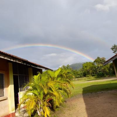 271721426 278959970964543 3643015280581394947 N