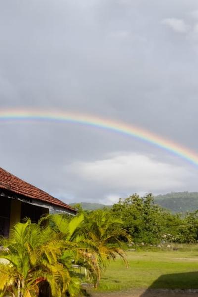 271721509 278960164297857 531902262224953511 N