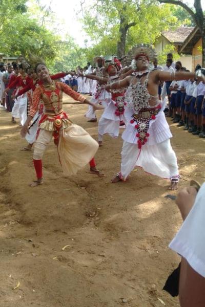 310954762 436541378567751 1773636322418667691 N