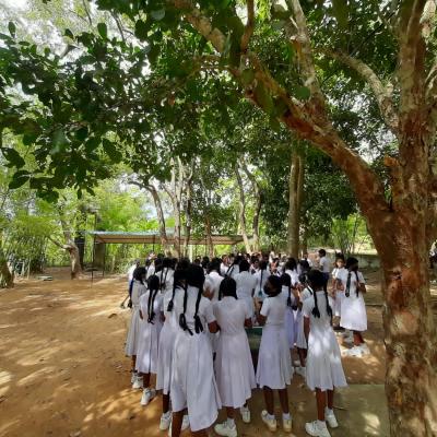 311106737 436422665246289 270111988917888577 N