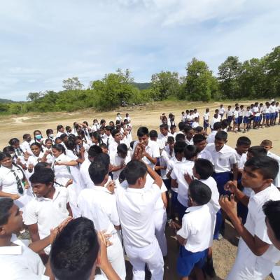 311123546 436423035246252 4414134338983350031 N