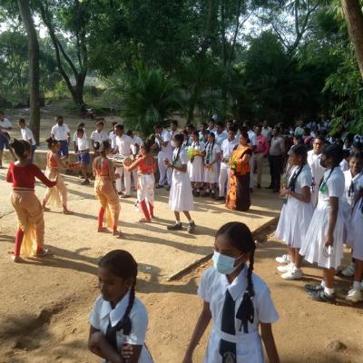 315535373 470408781847677 4724925019317916836 N