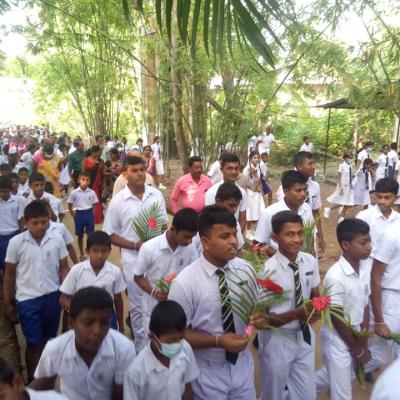 316263101 470408918514330 8893056720722451662 N