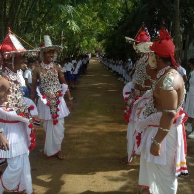 320758571 824524698628168 7072452508430368242 N