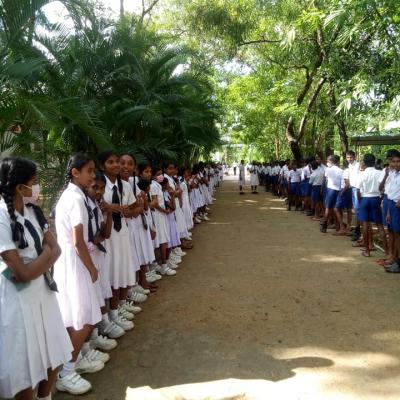 320920610 474497624834365 974151439129899076 N